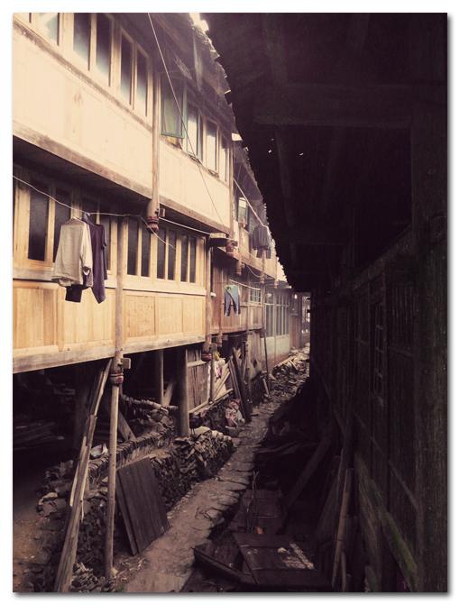 La Chine est terre, terriblement terrienne |01 terredechine006