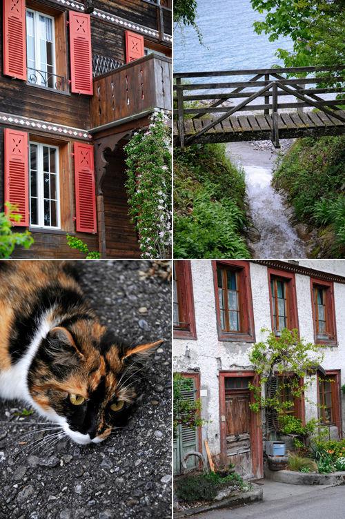 Au bord du lac… en Suisse _DSC5247