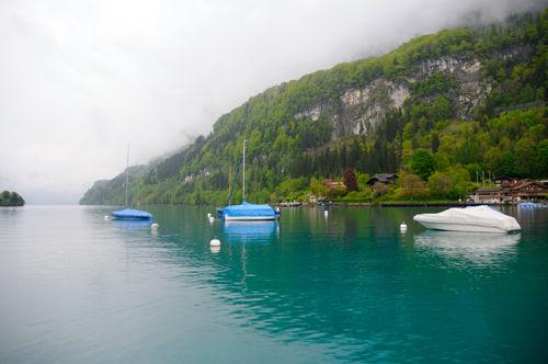 Au bord du lac… en Suisse _DSC5497