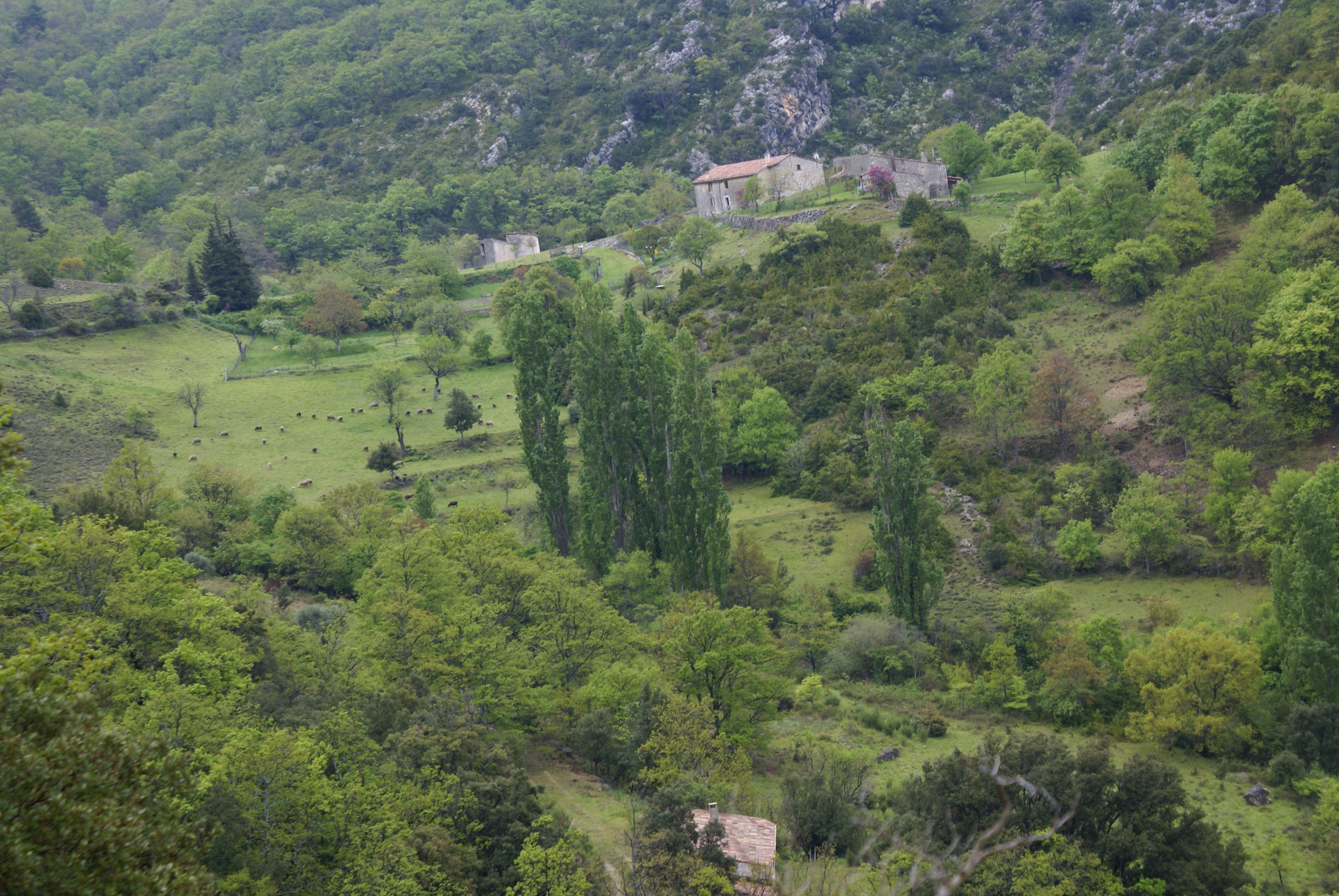 Après la pluie… photos-diverts-080510-134.1273743372.jpg