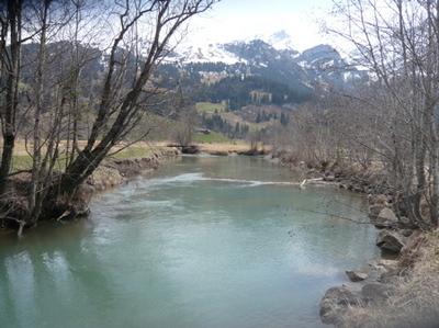 RIVIERE.jpg