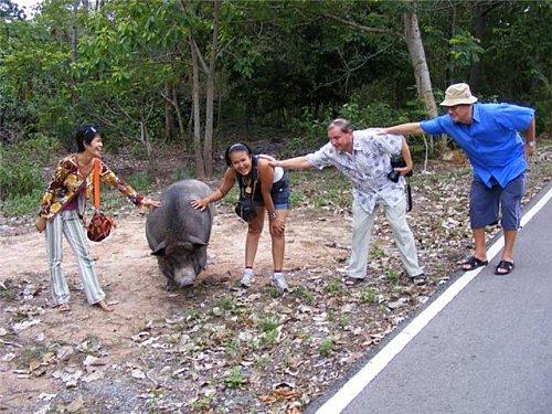 16 mai : Udonthani: Sortie du club francophone d’Isan cochon1