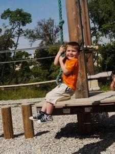 Grimpozarbres grimpozarbres_1