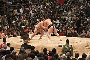 sumo-wrestle-18.jpg