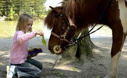 Center Parcs testé pour vous ! FR_actisplash_kids_1l