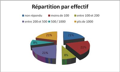 Repartition_par_effectif