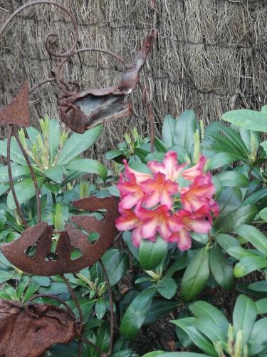 on touille on touille KIF_5239.JPG