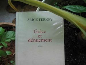 Grâce et dénuement, Alice Ferney