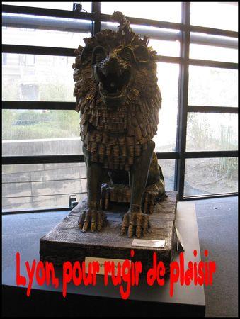 Il reste une carte postale lyon_carte_postale