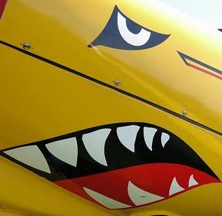 A quel avion appartient cette gueule de requin?