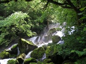 L’énigme du samedi: tout commence au coeur de la forêt… la-frasnee.1274473641.jpg