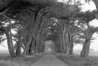 Sans les mains Sans les mains