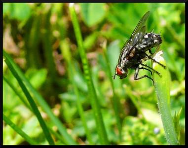 2042 essais de macro