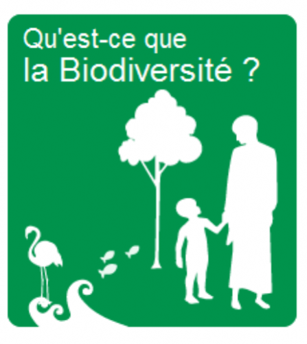 biodiversite-parc01.png