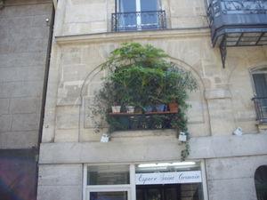 Splendeurs urbaines à Saint-Gremain des prés IMGP3923