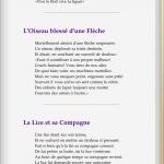 ibookstore-ebook-1 Cliquez sur l'image pour agrandir