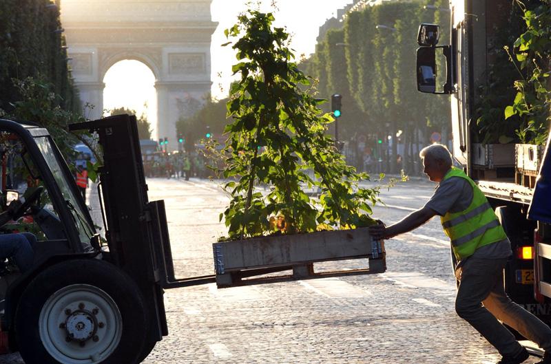 Les Champs Elysées le 23 mai 2010