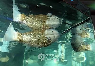 La Corée se lance dans la robotique aquatique La Corée se lance dans la robotique aquatique