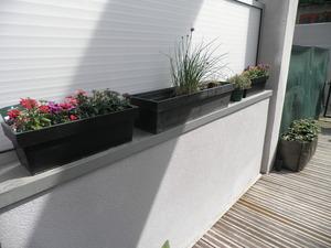 Un jardin planté, c'est mieux ! Un jardin planté, c'est mieux !