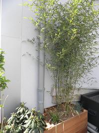 Un jardin planté, c'est mieux ! Un jardin planté, c'est mieux !