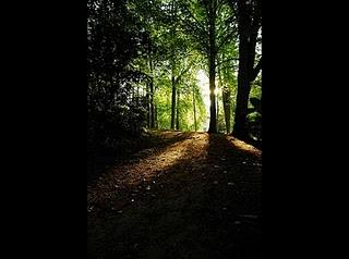 Chemins de traverse