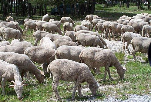 Week-end dans le Verdon. 1aaaa1-031.jpg