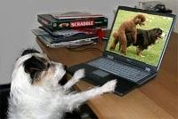 330° Incompétence et parano 330° Incompétence et parano