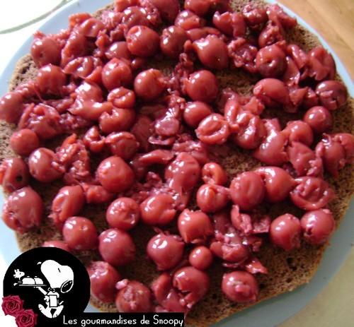 Une fôret noire pour mes 21 ans Foret-noire2.jpg