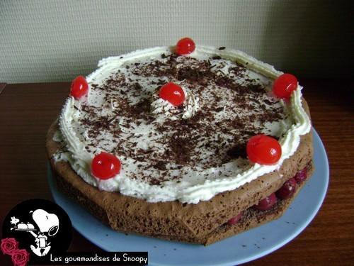 Une fôret noire pour mes 21 ans Foret-noire3.jpg