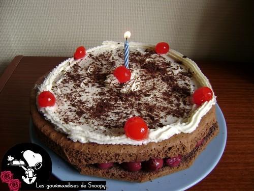 Une fôret noire pour mes 21 ans Foret-noire4.jpg