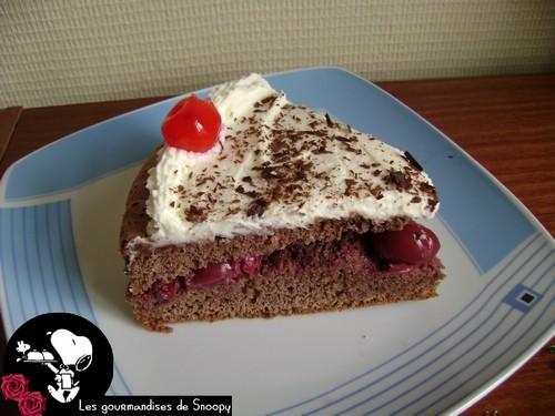 Une fôret noire pour mes 21 ans Foret-noire6.jpg