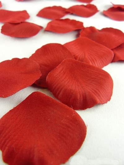 pétales Deux pétales (Jean Joubert)