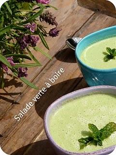 salade verte à boire ou soupe froide toute verte salade verte à boire ou soupe froide toute verte