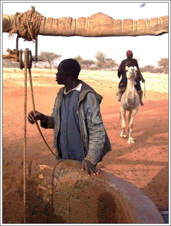 MES AMIS DE TIMIA s_heresse