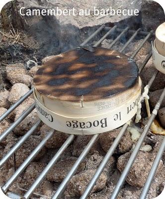 Un barbecue , comment cela se passe chez vous ??