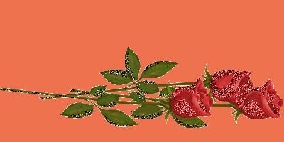 LA SOLITUDE monpetitparadis123728918648_gros