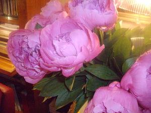 Des bébés et des fleurs IMGP4027