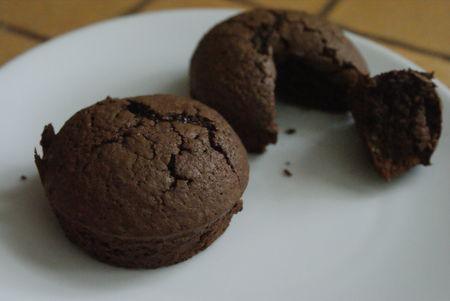 Noisettines au chocolat DSC02979