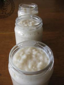 riz au lait végétal