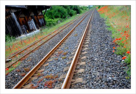 Photos de mai Gare de St Genies de Malgloires IBA_1574.jpg