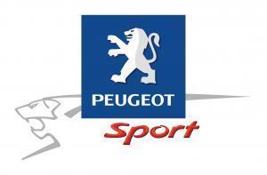 [Communiqué de Presse] PlayStation partenaire de Peugeot Sport pour le Mans 2010