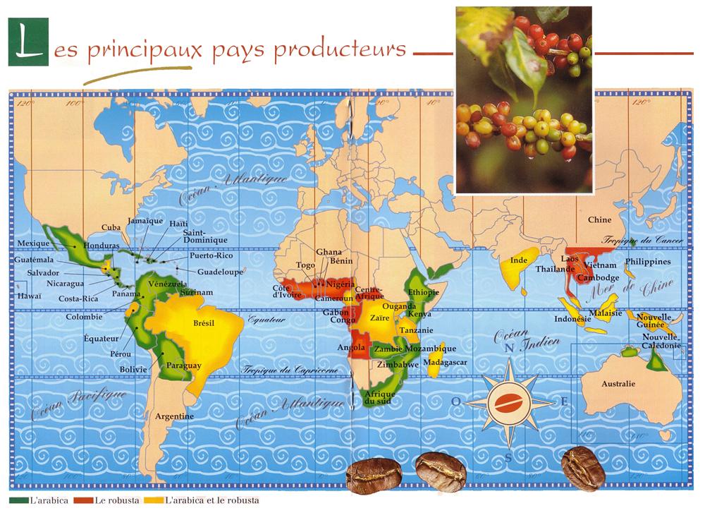 Un grand marché mondial: le café. Un grand marché mondial: le café.
