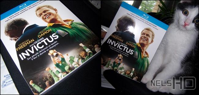 Invictus-BR-pixel {Essai Transformé ::