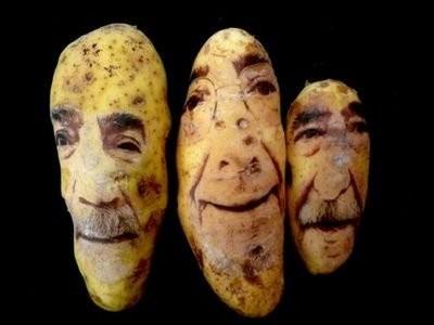potato_portraits_13.jpg