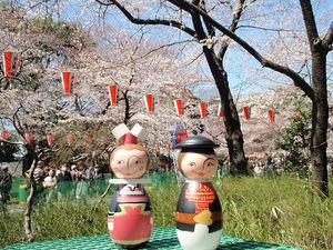 Ballade printanière japon_cerisier