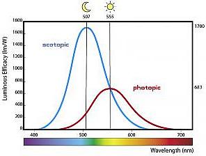 La nuit tous les chats sont gris. La nuit tous les chats sont gris.