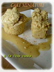 Cake miniature à la fève tonka cake-minia.jpg