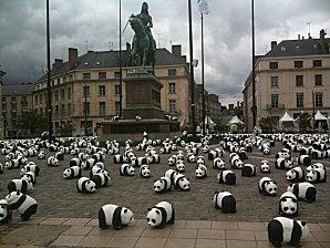 1600 PANDAS à Orléans IMG_0316-copie-3.JPG