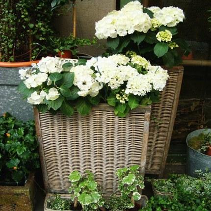 L’esprit campagne dans la déco L’esprit campagne dans la déco