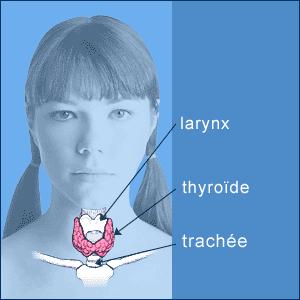 Hashimoto ou Le premier jour du reste de ma vie.... http://img413.imageshack.us/img413/5462/hypothyroidiegr.gif